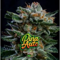 Gorilla Piña Auto (x4)